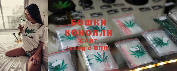 ГАЛЛЮЦИНОГЕННЫЕ ГРИБЫ Арсеньев