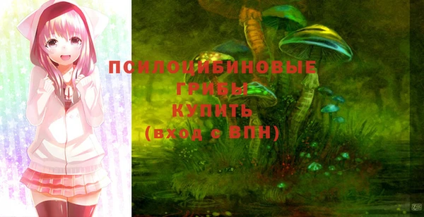 ГАЛЛЮЦИНОГЕННЫЕ ГРИБЫ Арсеньев