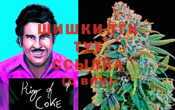 ГАЛЛЮЦИНОГЕННЫЕ ГРИБЫ Арсеньев