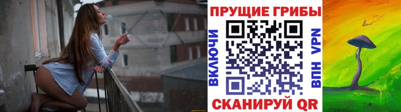 Псилоцибиновые грибы мухоморы Луховицы